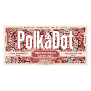 POLKA DOT HORCHATA MUSHROOM MAGIC BLEND CHOCOLATE BAR - BOX OF 10