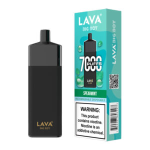 LAVA BIG BOY 7K SPEARMINT 5% - BOX OF 10