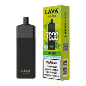 LAVA BIG BOY 7K COOL MINT 5% - BOX OF 10