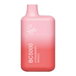 EBCREATE BC5000 STRAWBERRY MANGO 5% - BOX OF 10