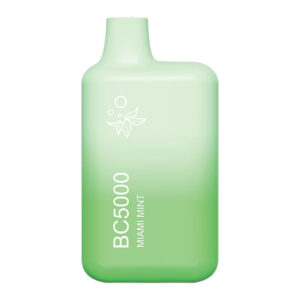 EBCREATE BC5000 MIAMI MINT 5% - BOX OF 10