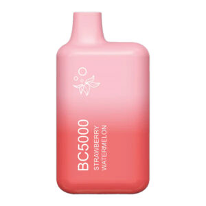 EBCREATE BC5000 STRAWBERRY WATERMELON 5% - BOX OF 10