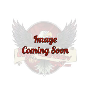 SW ZYN NICOTINE POUCHES RED FRUITS - 9MG SLEEVE OF 5